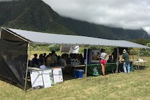 Field Day at Waimanalo